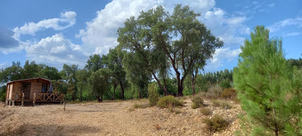 Quinta D' Luzarcoiris Holiday home Arganil