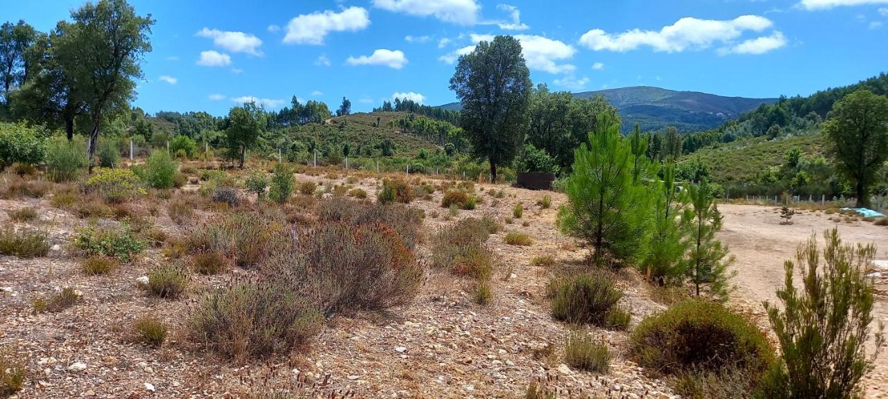 Quinta D' Luzarcoiris Holiday home Arganil