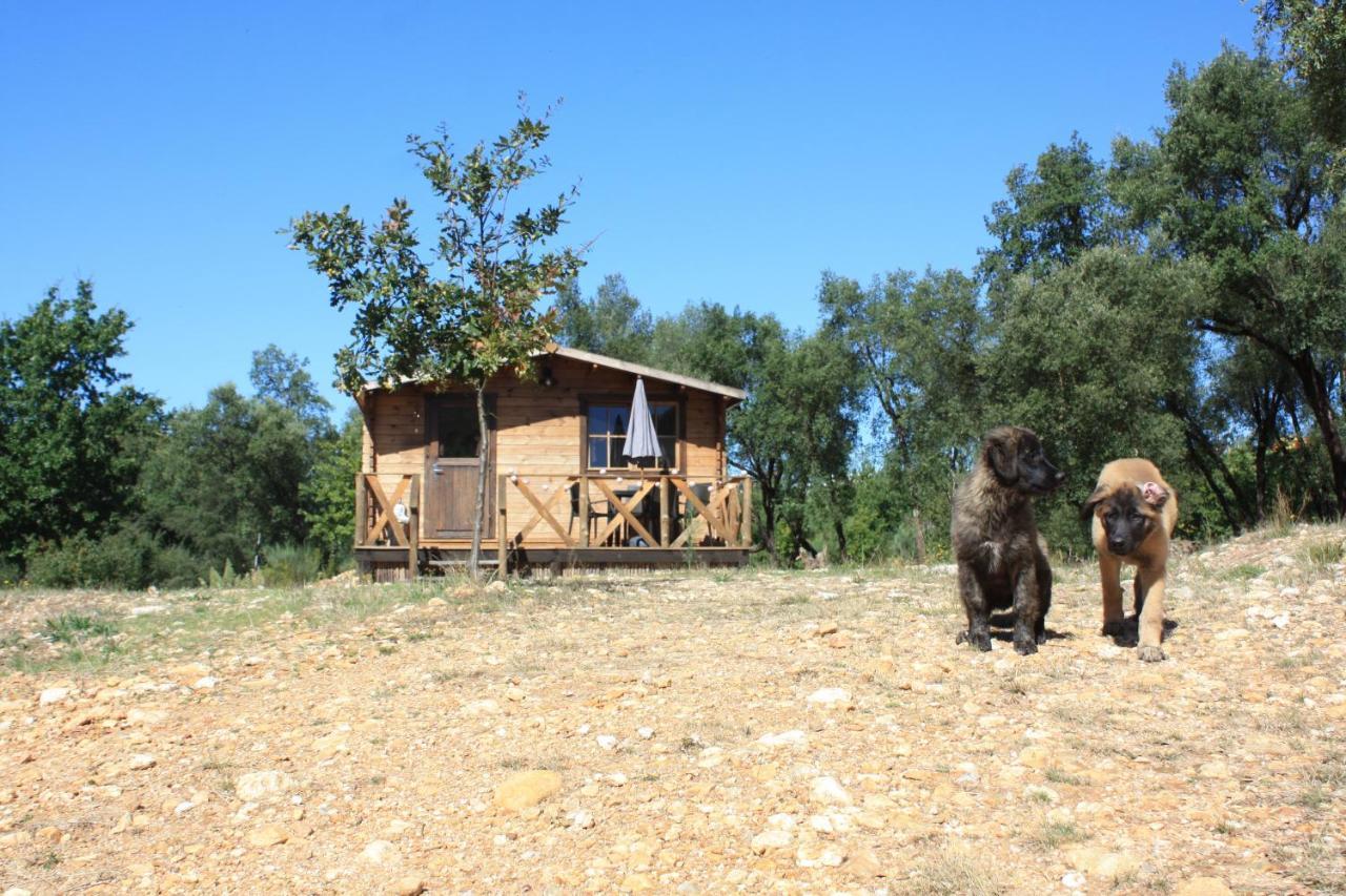 Quinta D' Luzarcoiris Arganil