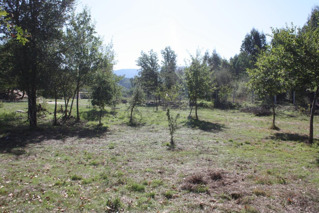 Quinta D' Luzarcoiris * Arganil