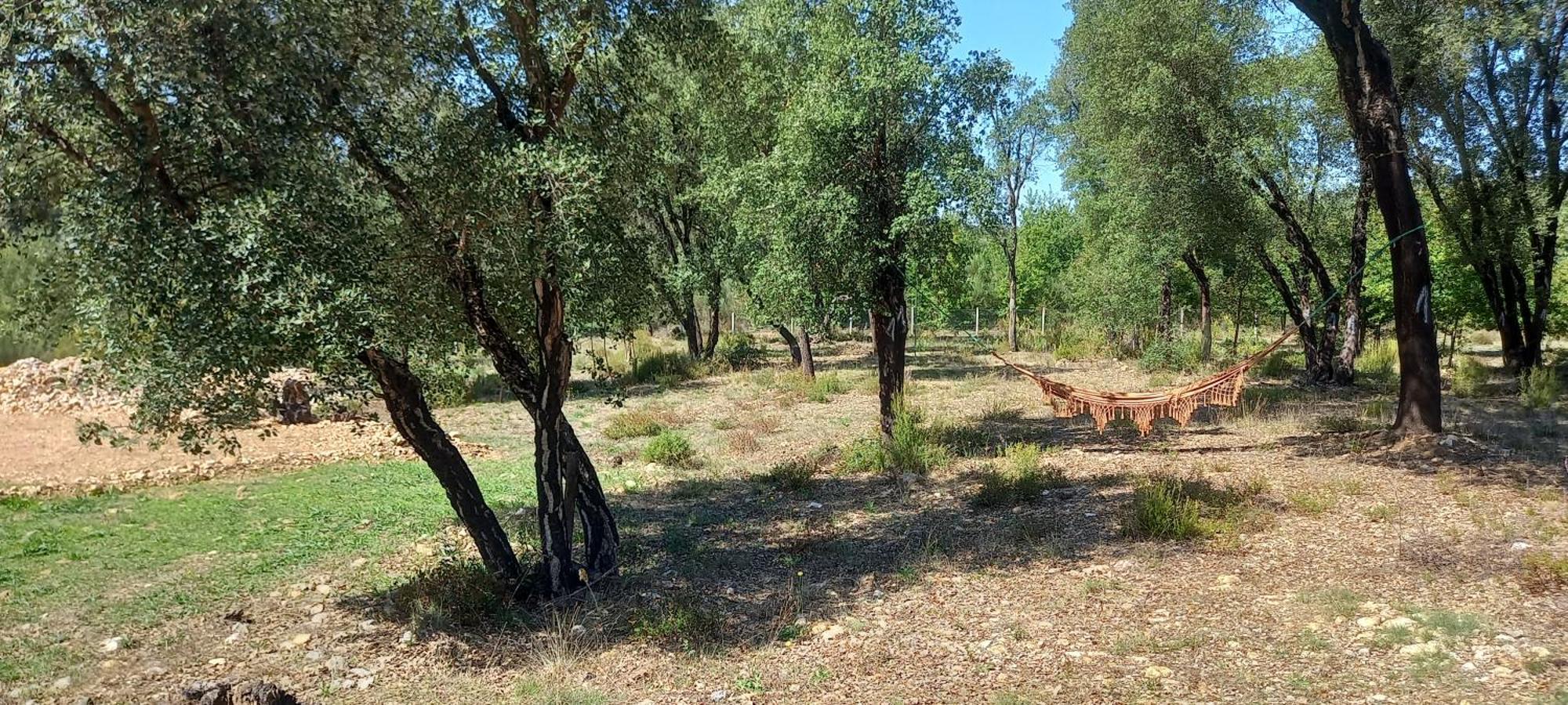 Quinta D' Luzarcoiris * Arganil
