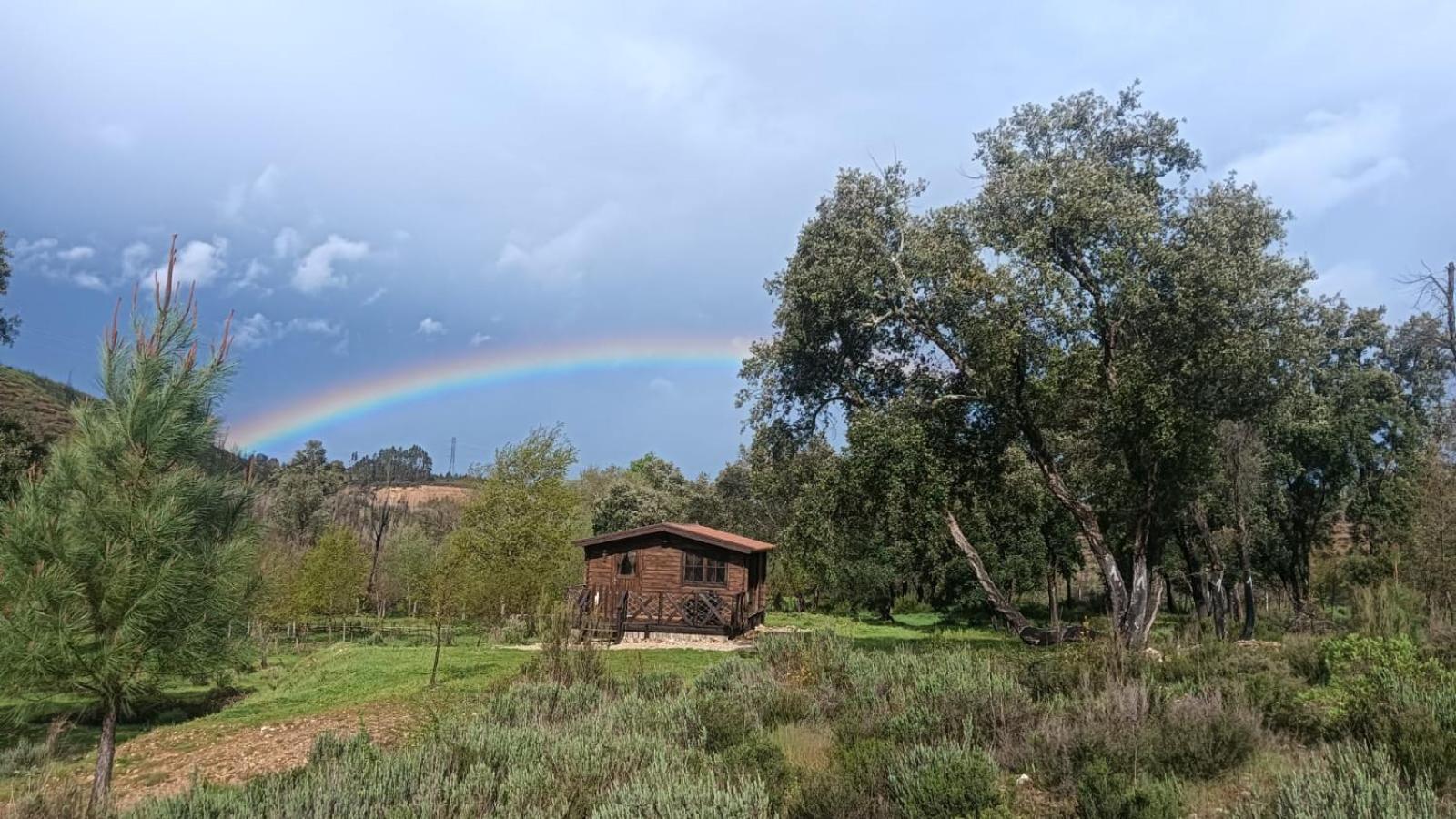 Quinta D' Luzarcoiris Holiday home *